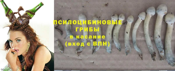 мдпв Белокуриха