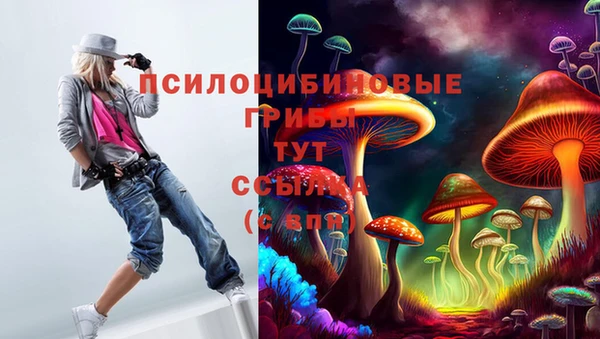 мдпв Белокуриха